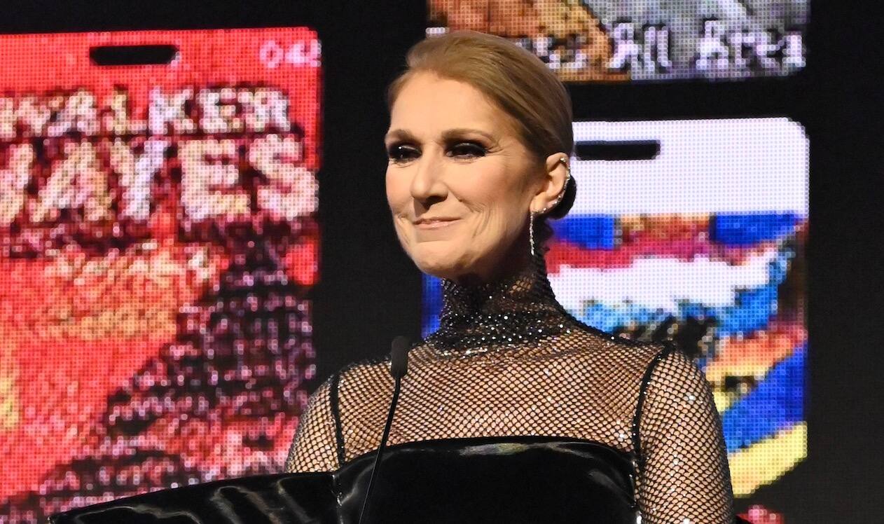 Céline Dion éblouit dans une robe en maille 