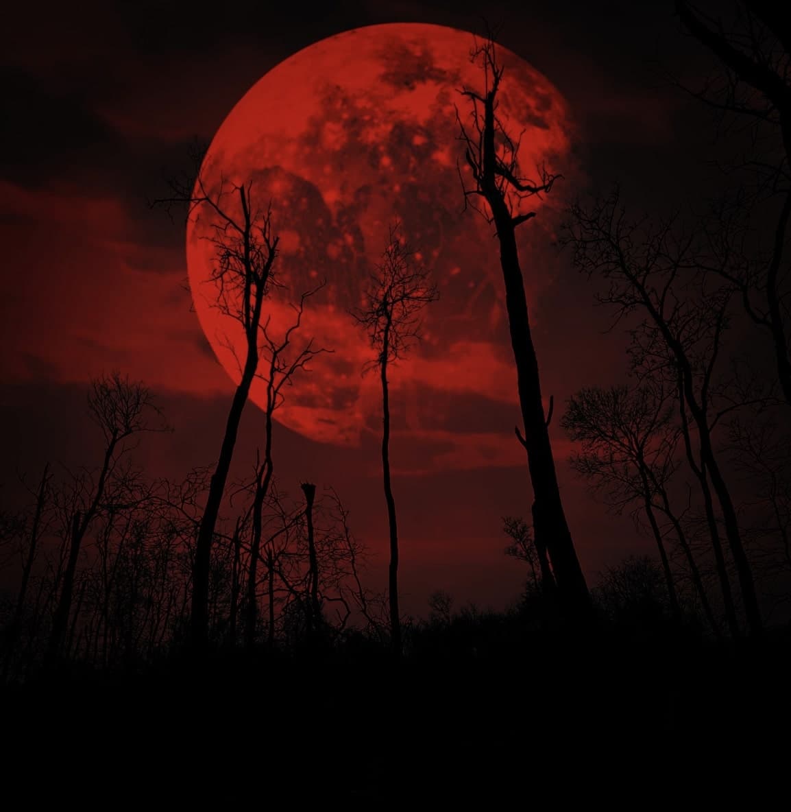 Tout savoir sur la Lune rouge