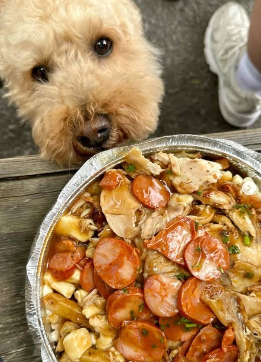 Ce restaurant portugais crée la panique générale