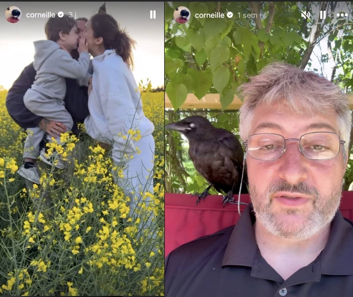 L'attachante corneille de son père est décédée