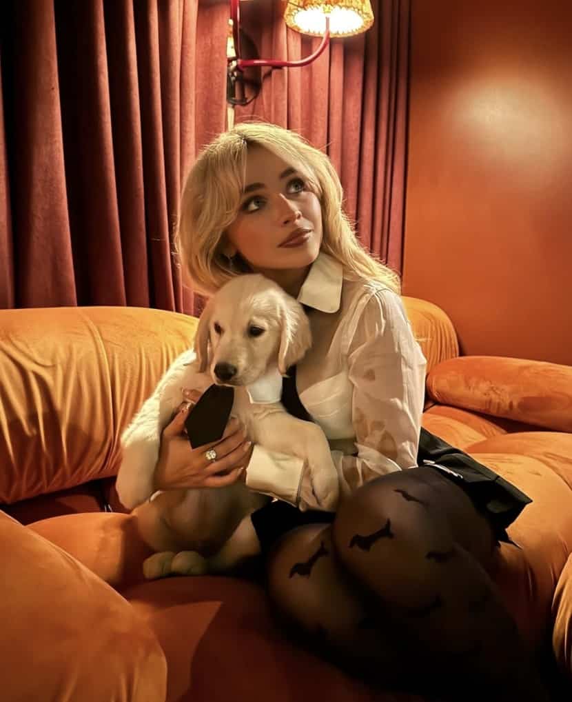 Sabrina Carpenter éblouie en robe transparente