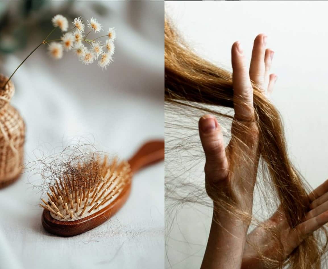 Pourquoi perd-on plus de cheveux l'automne?