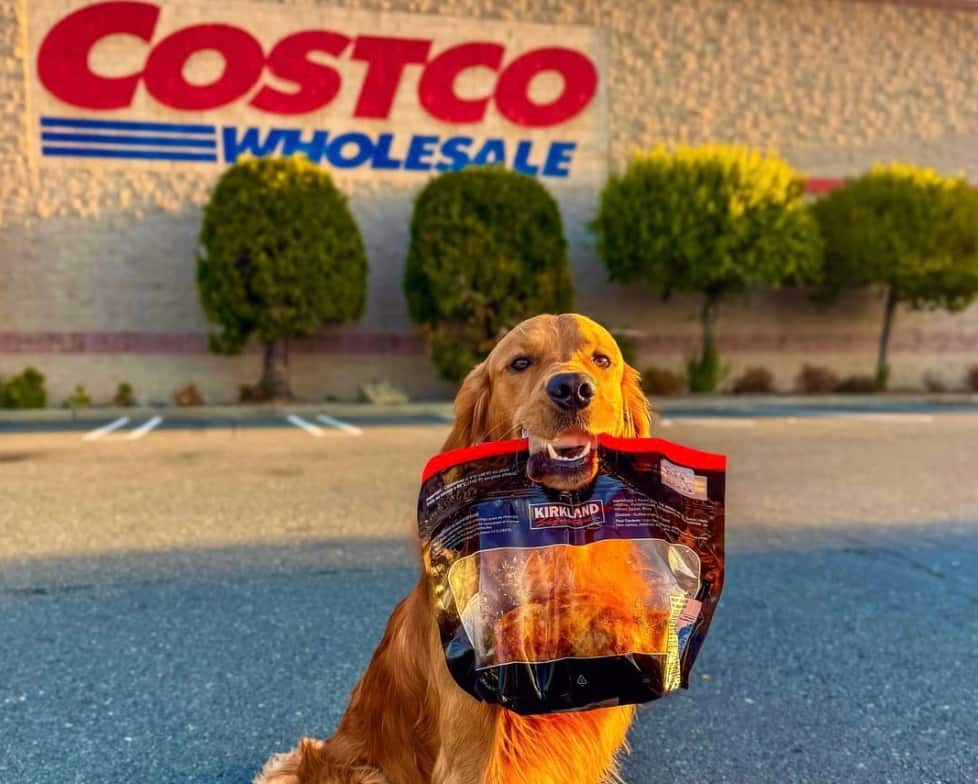 Costco est fâché contre l’administration Trump et lui demande de rembourser la majorité des tarifs douaniers