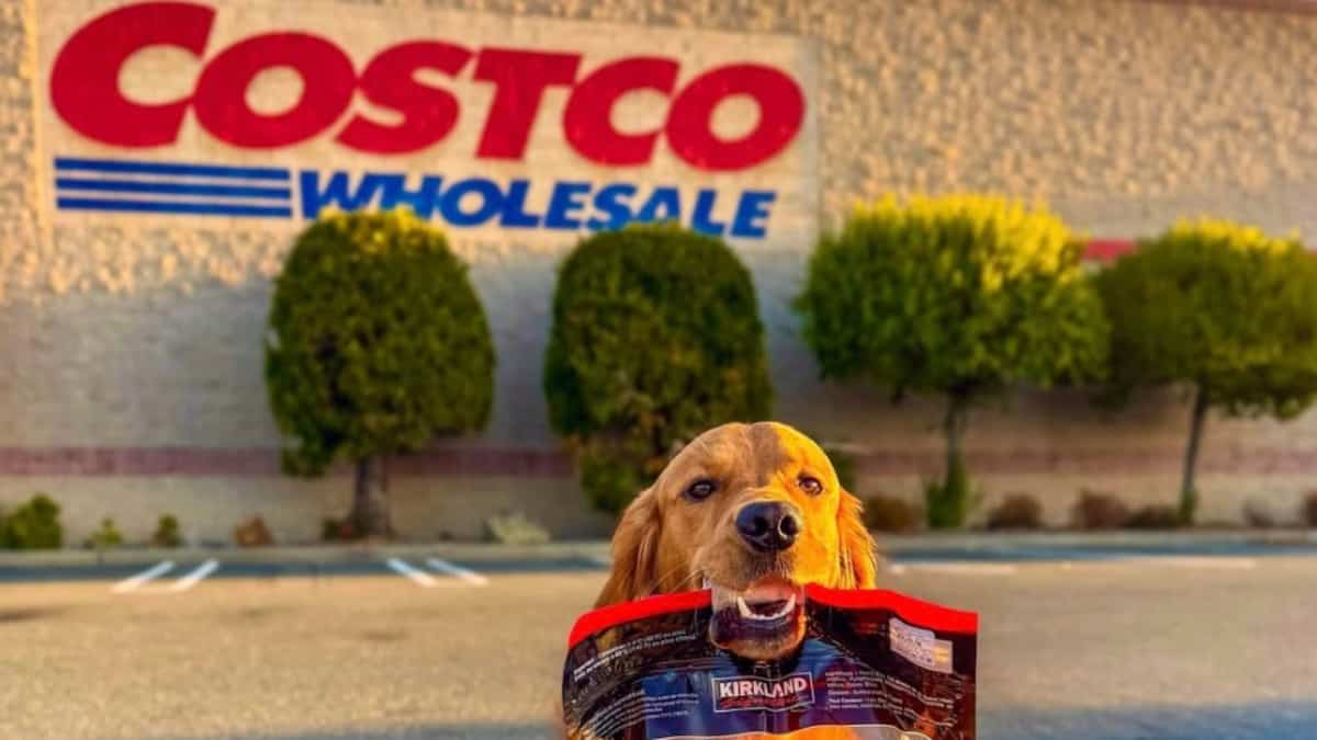 Costco est fâché contre l’administration Trump et lui demande de rembourser la majorité des tarifs douaniers