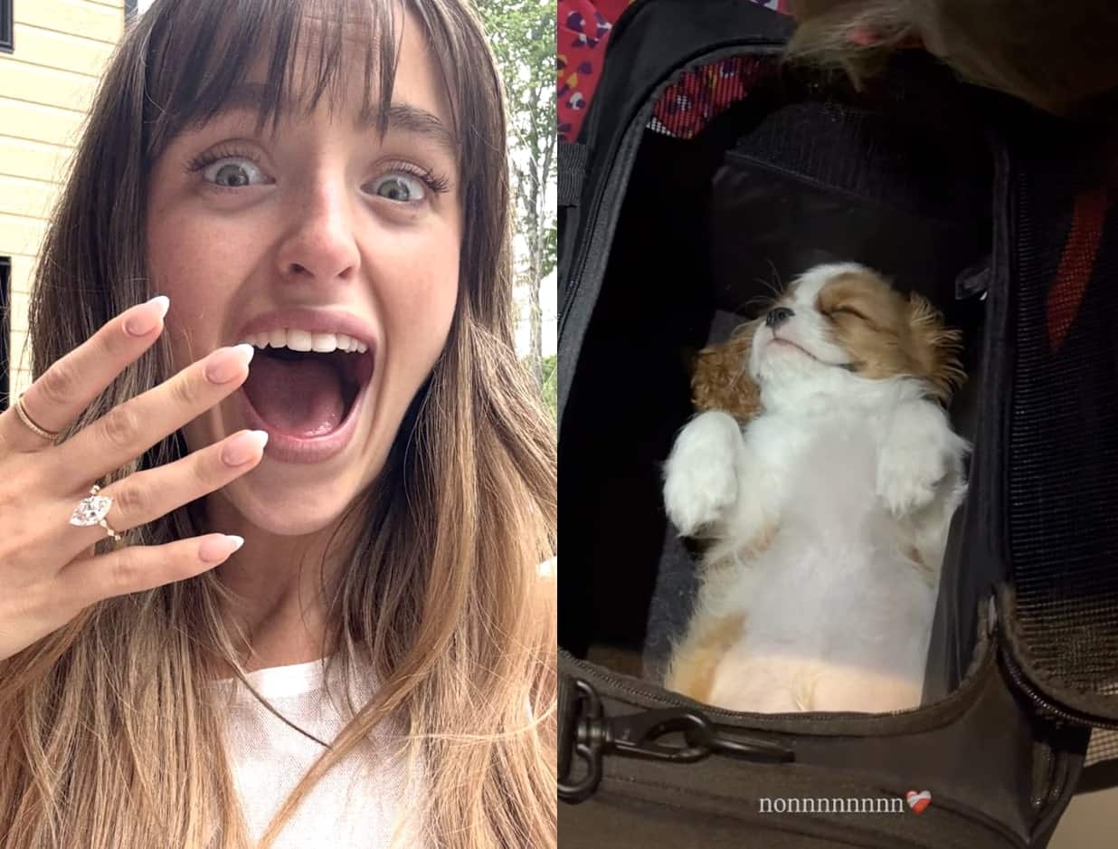 Un gros souci s'installe avec son nouveau chiot