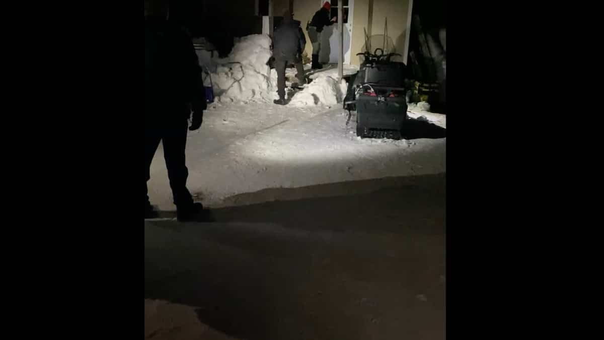 Chasse aux caribous: une opération de la protection de la faune dégénère sur la Côte-Nord