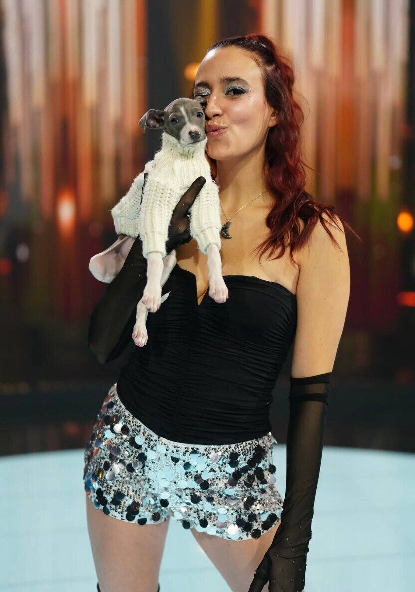 Ce projet lui fait quitter le Québec