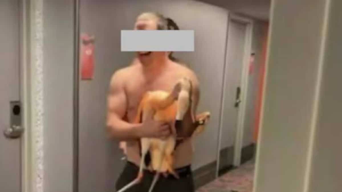 Il capture et blesse des flamants roses dans un hôtel de Las Vegas: un Ontarien accusé de cruauté animale