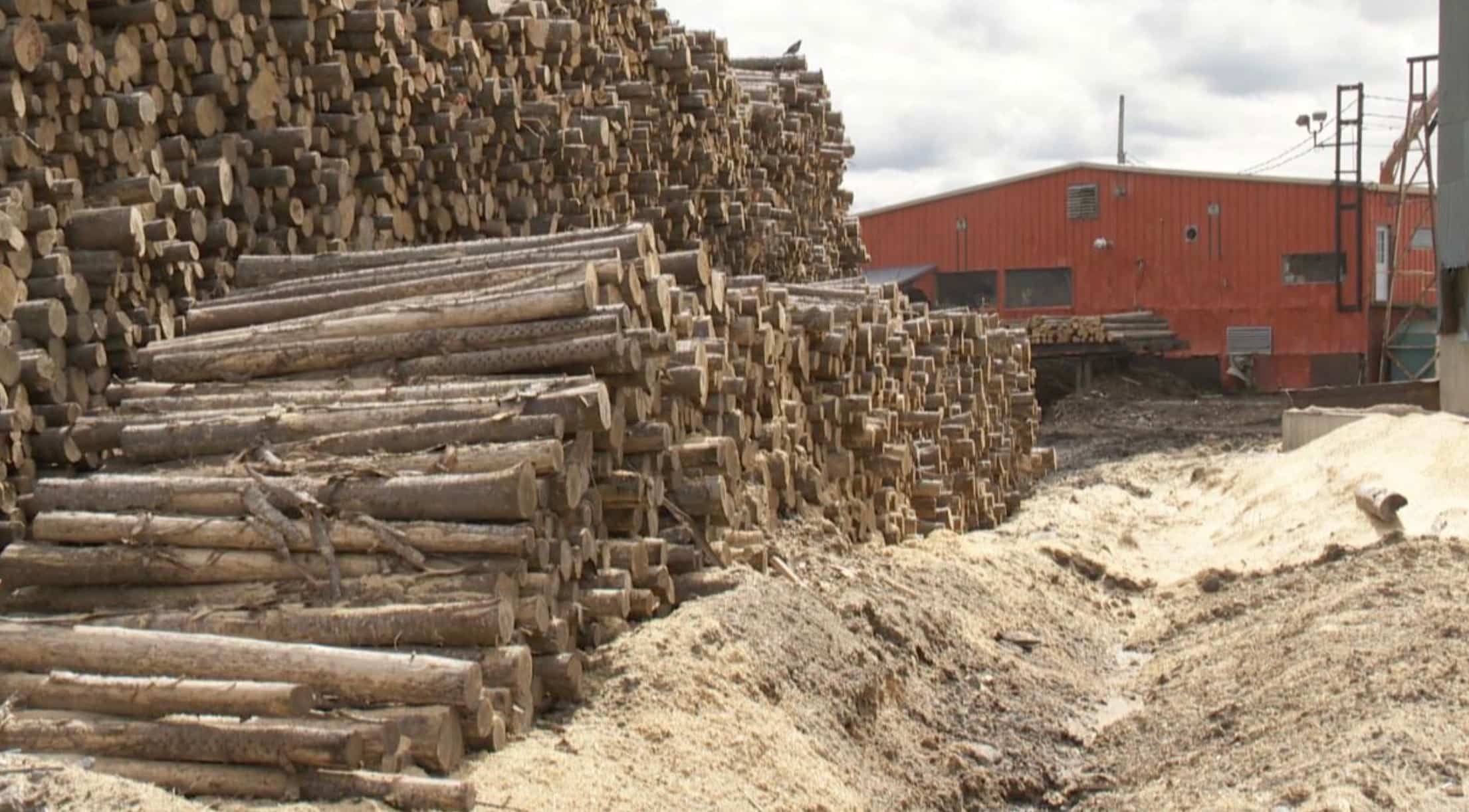 Industrie du bois: fermeture de la scierie &agrave; Saint-Joseph-de-Kamouraska