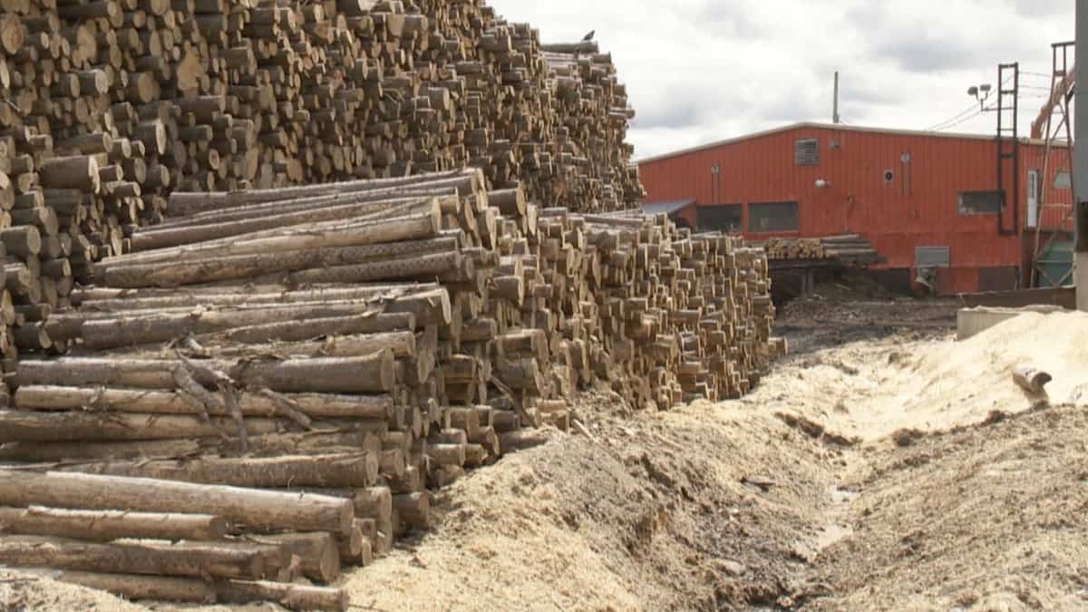 Industrie du bois: fermeture de la scierie à Saint-Joseph-de-Kamouraska