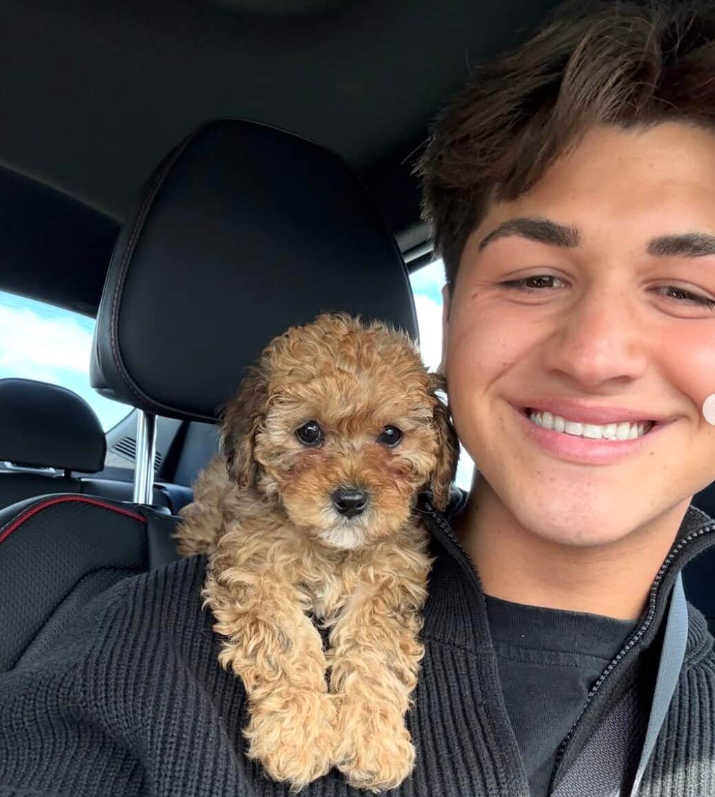 Image principale de l'article L'Académicien présente son amoureux