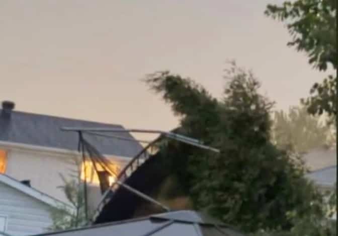 [EN IMAGES] Orages violents au Saguenay–Lac-Saint-Jean: des dizaines d’arbres déracinés et des poteaux renversés