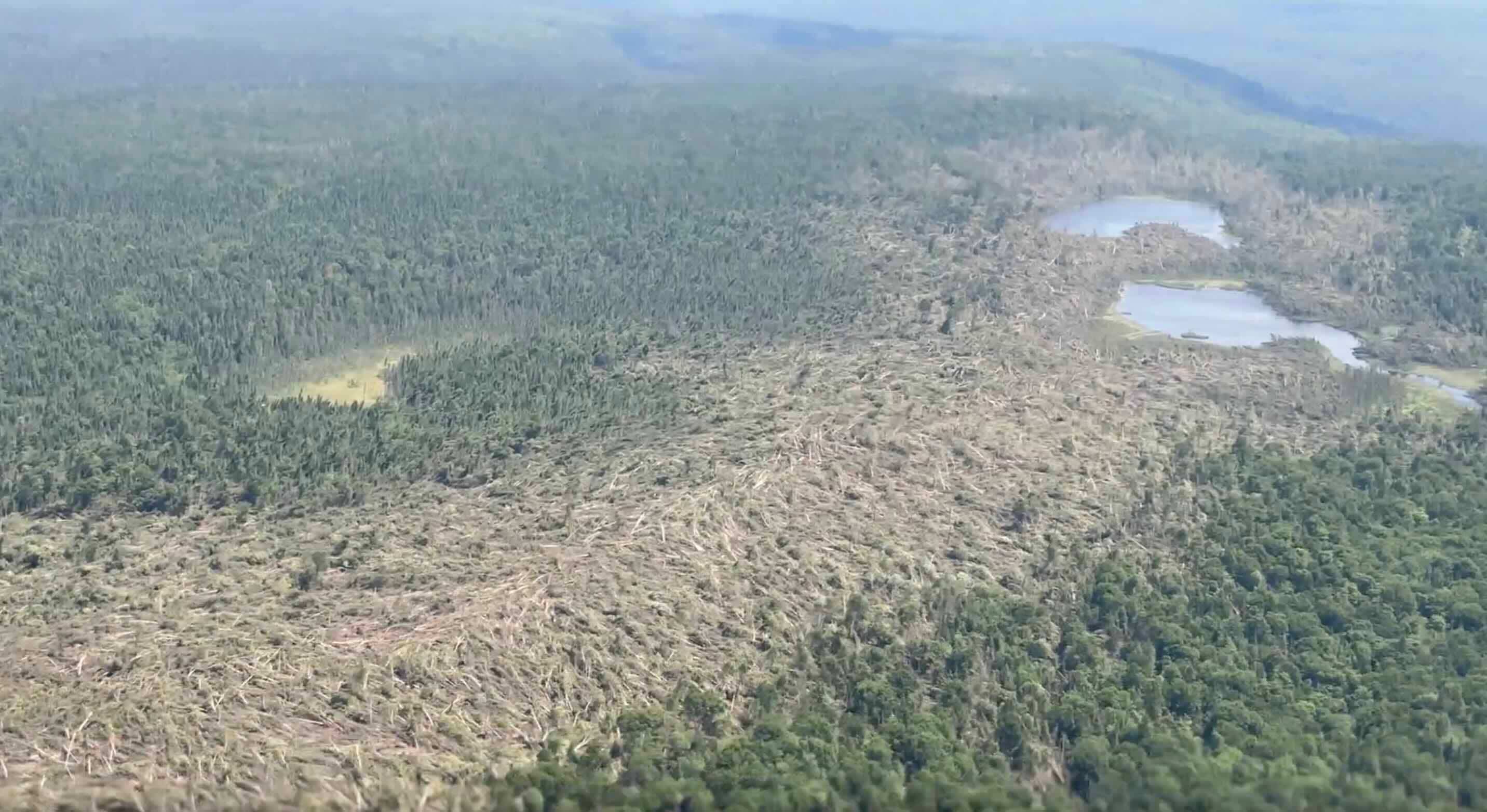 [EN IMAGES] Une nouvelle tornade confirmée dans une forêt au Québec