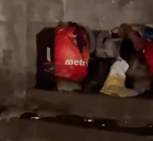 «C’est une catastrophe pour nos itinérants»: des centaines de rats attaqueraient les sans-abri du quartier Saint-Roch à Québec