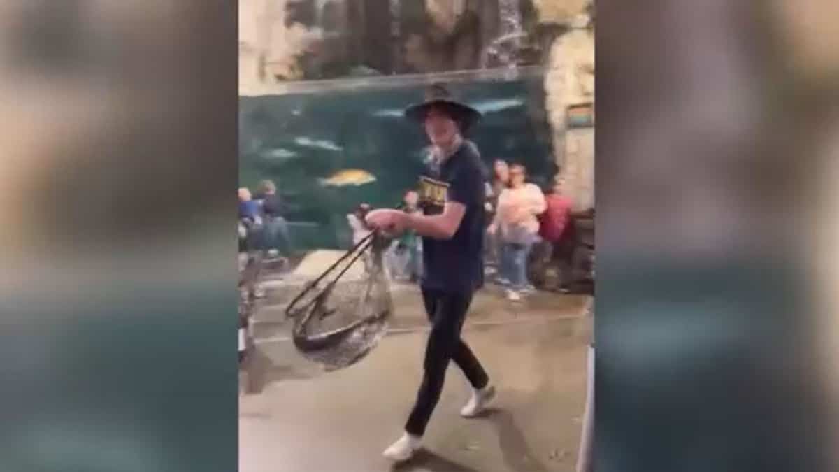 Video |  He steals an endangered fish from a store's aquarium Video |  He steals an endangered fish from a store's aquarium