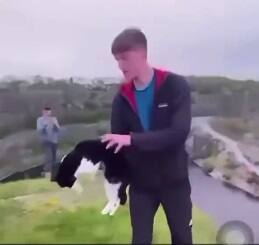 “Grief”: A teenager arrested in connection with a cat that was launched from the top of a cliff