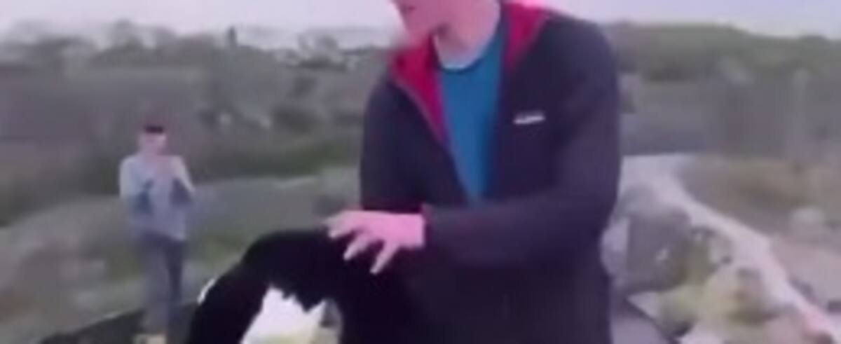 “Grief”: A teenager arrested in connection with a cat that was launched from the top of a cliff “Grief”: A teenager arrested in connection with a cat that was launched from the top of a cliff