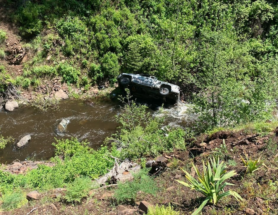 Un chien parcourt des kilomètres pour sauver son maître tombé dans un ...