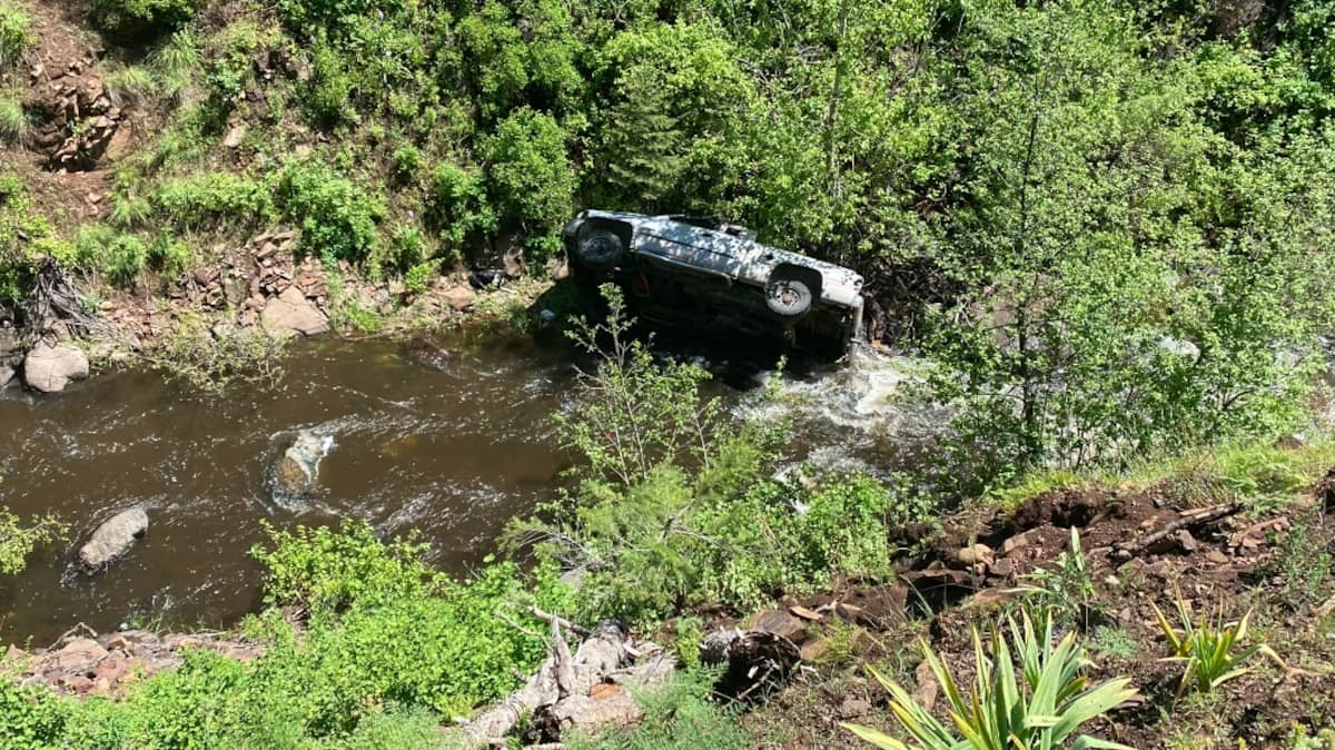 A dog travels miles to rescue his owner who fell into a ravine in his truck A dog travels miles to rescue his owner who fell into a ravine in his truck