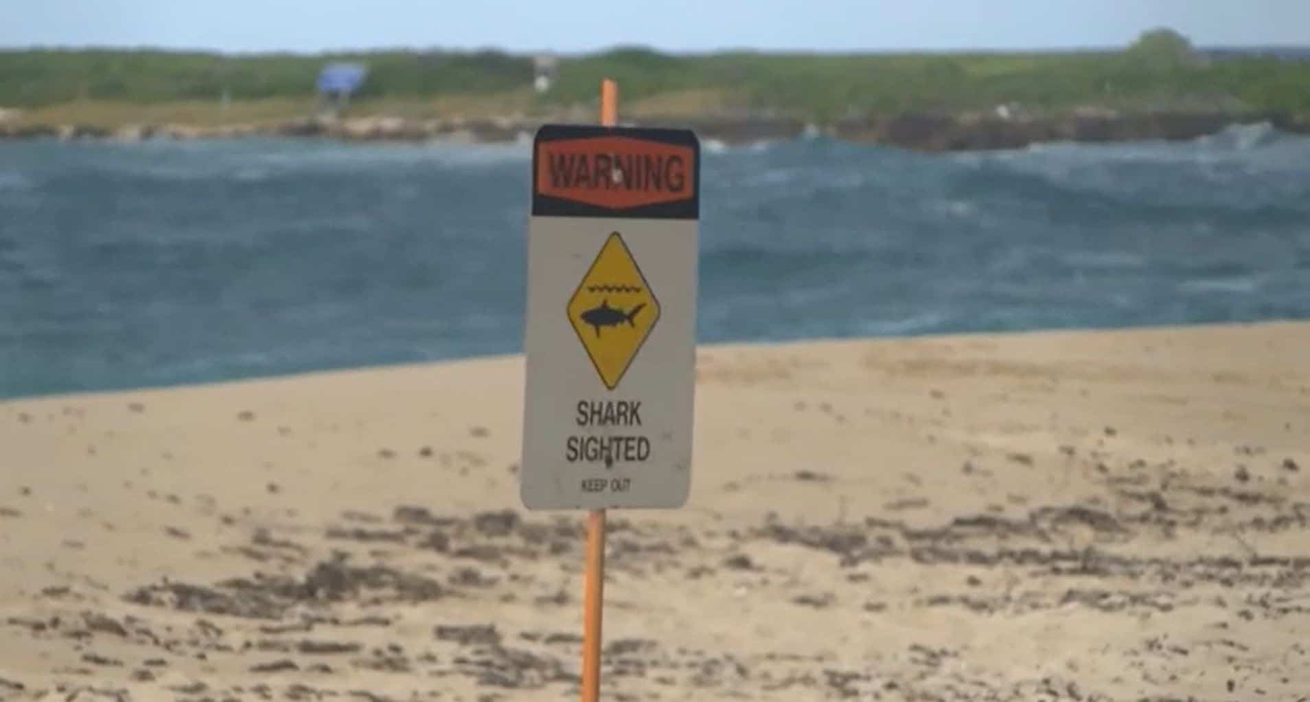 Un surfeur et acteur de &laquo;Pirates des Cara&iuml;bes&raquo; tu&eacute; par un requin