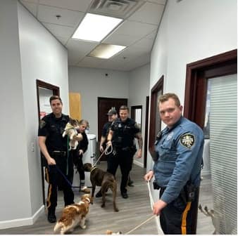 Incendie dans un h&ocirc;tel d&rsquo;h&eacute;bergement pour chiens: 46 pitous secourus dans la fum&eacute;e &eacute;paisse samedi