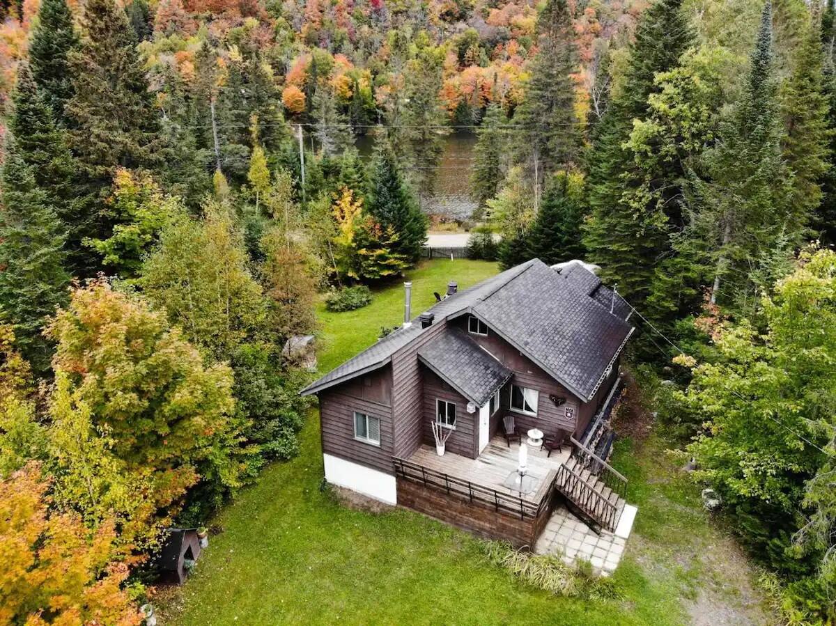 10 chalets à louer avec votre chien | Le Journal de Montréal
