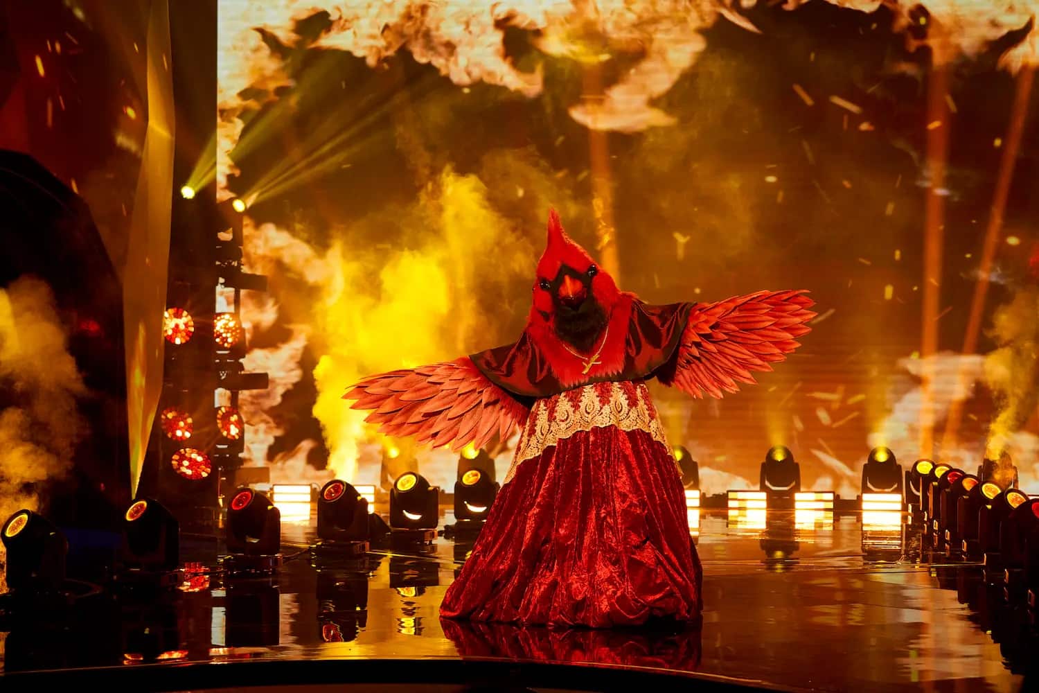 Découvrez qui se cachait dans le Cardinal!