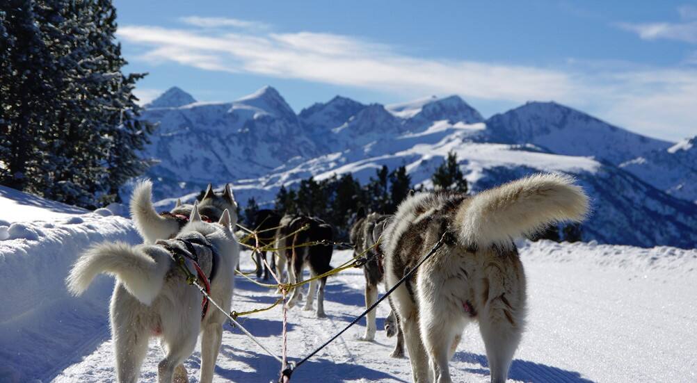 Les risques d’abus dans l’industrie 