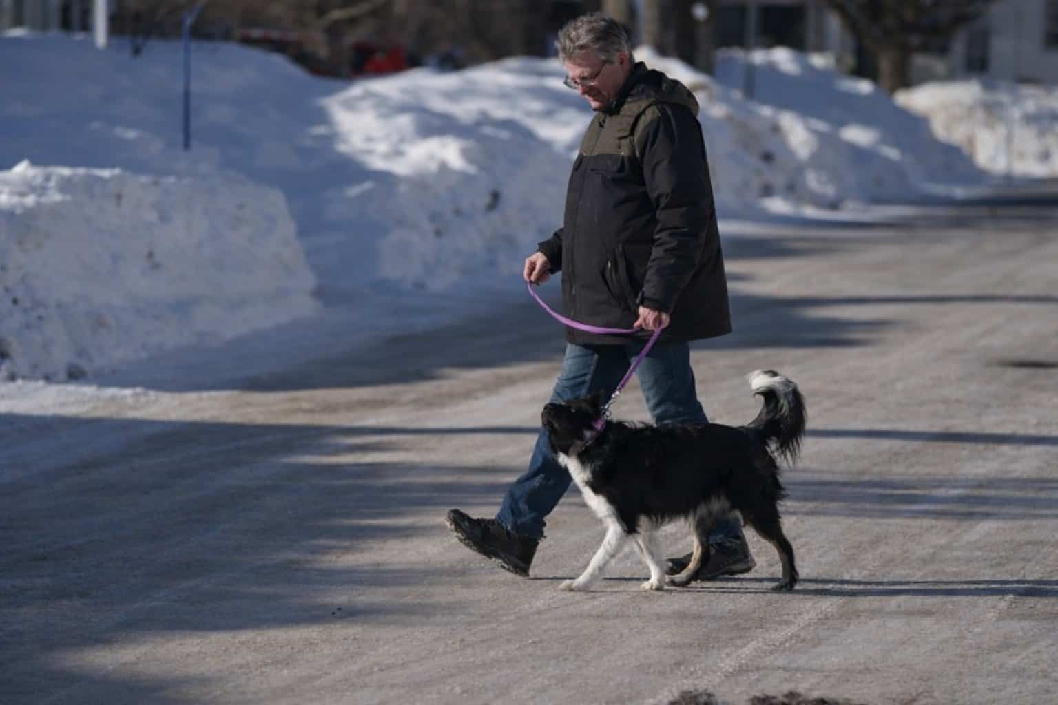 &laquo;Qui vous a vendu ce chien-l&agrave;?&raquo;: 9200$ pour un chien d&rsquo;assistance... agressif