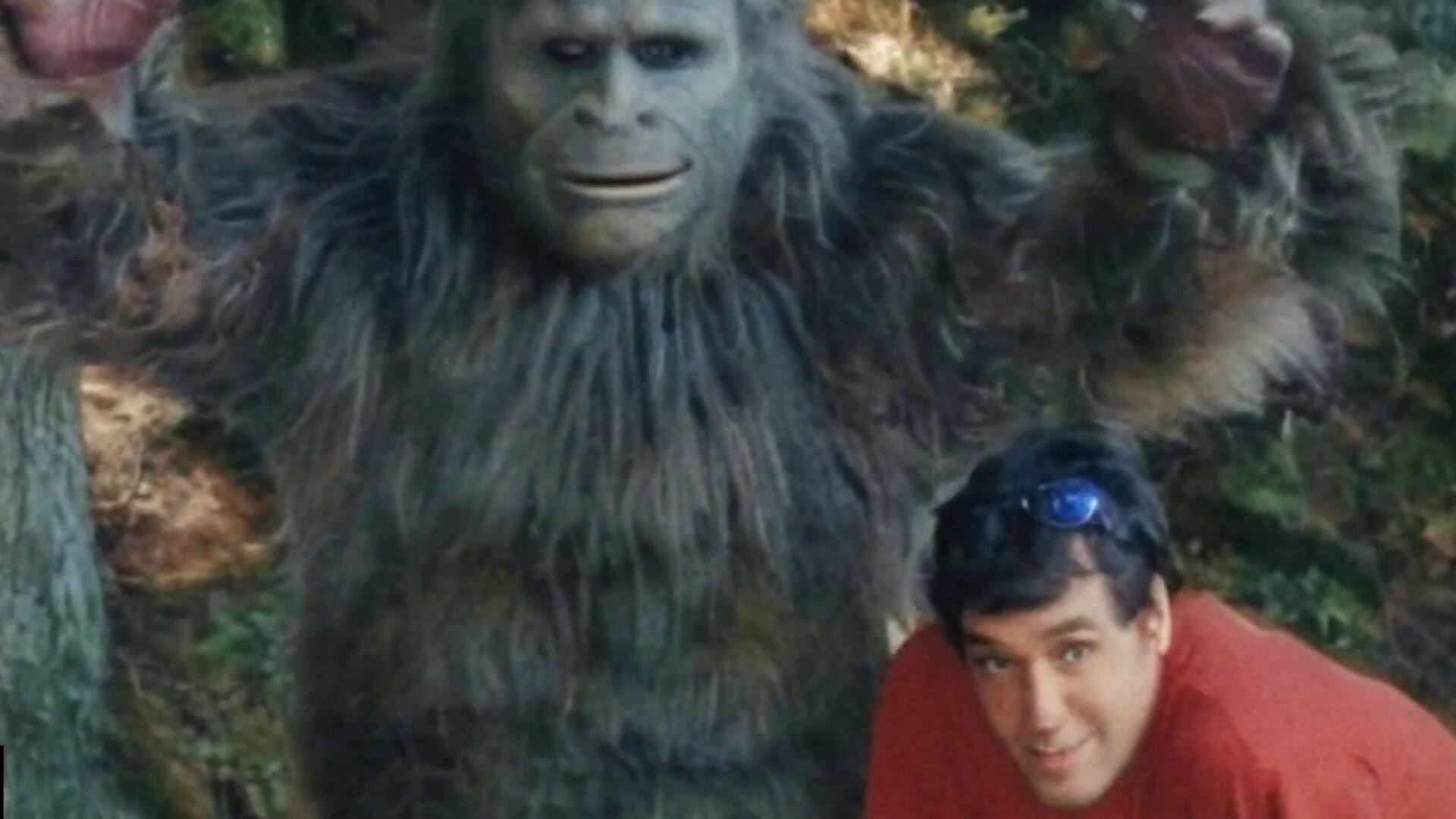 Enlevé par un sasquatch?