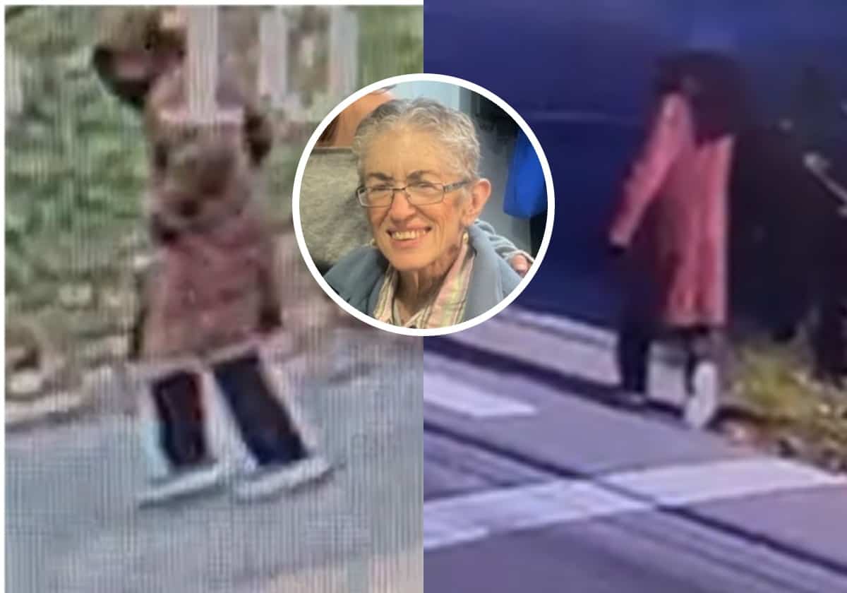 Disparition d’une femme de 80 ans à Sainte-Adèle: la dernière marche de Mme Longtin