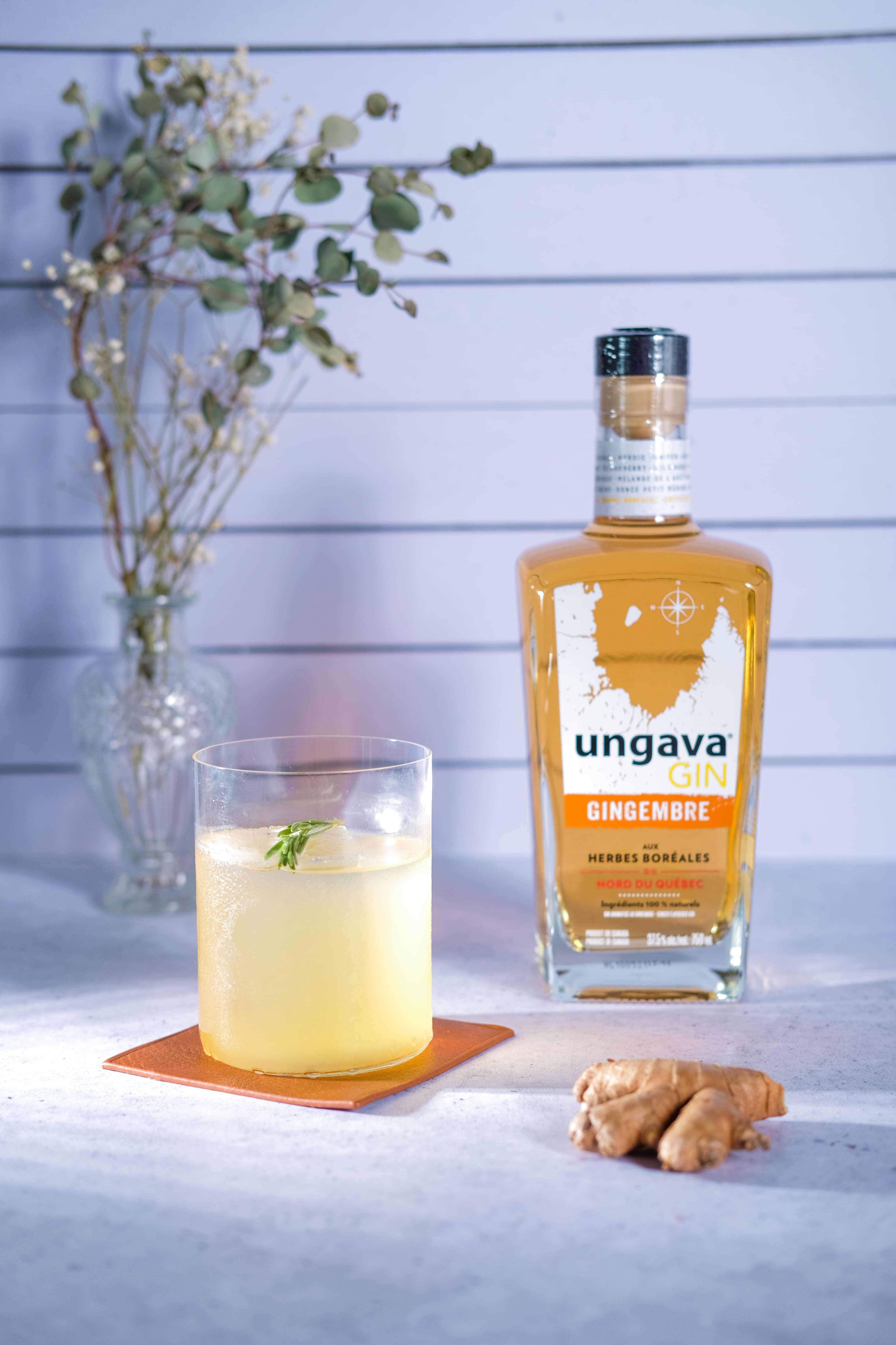 Un nouveau gin québécois au gingembre 