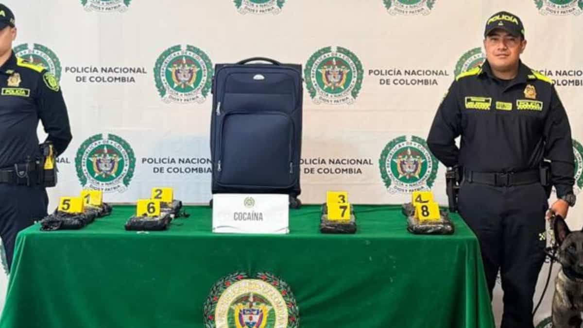 Destinée au Canada, une valise contenant plus de 8 kilos de coke est interceptée en Colombie