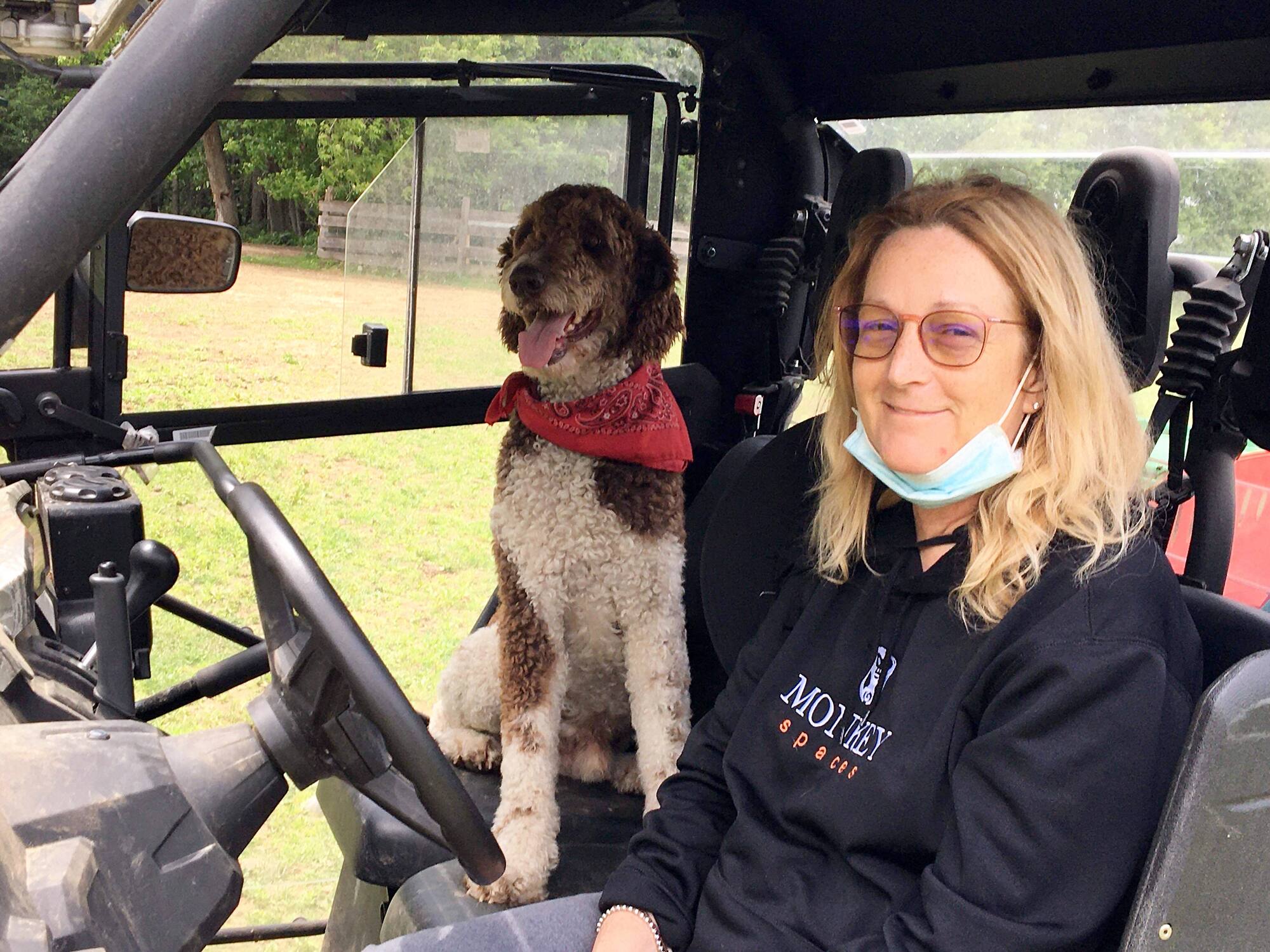Chiens vol&eacute;s dans un centre de zooth&eacute;rapie