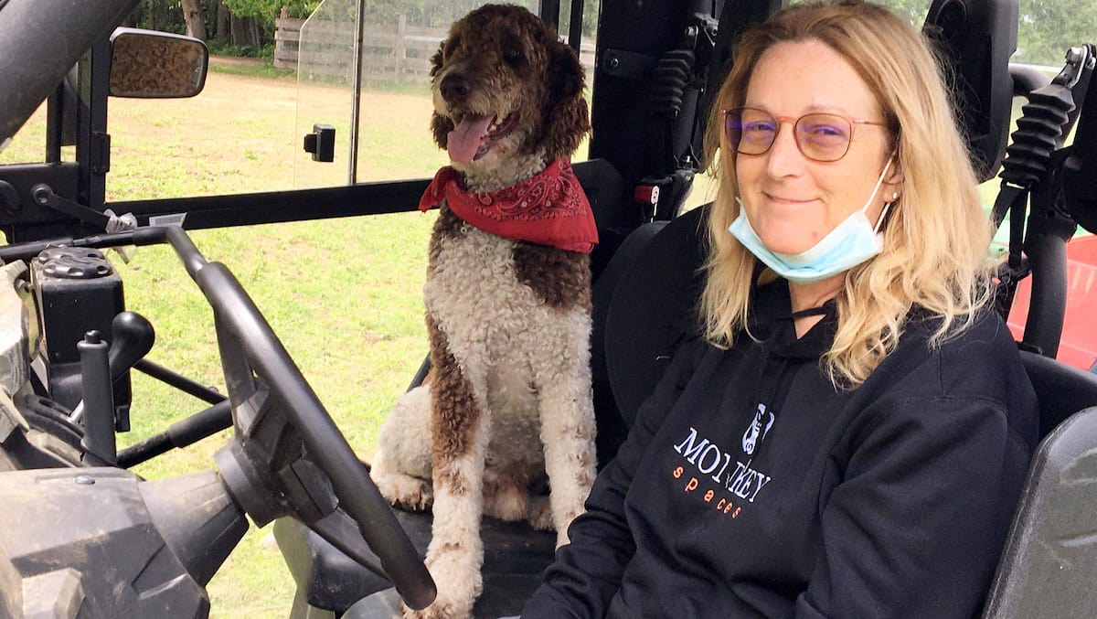 Chiens volés dans un centre de zoothérapie