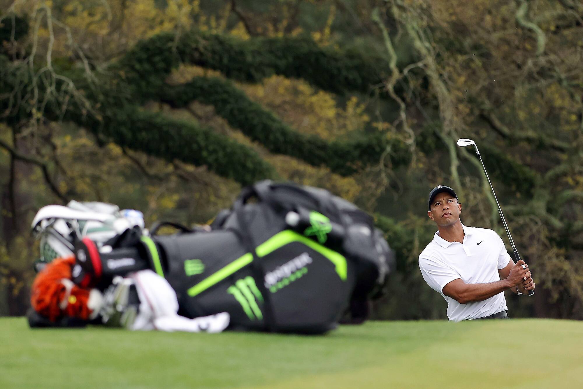 Tournoi des Ma&icirc;tres: Tiger et les autres