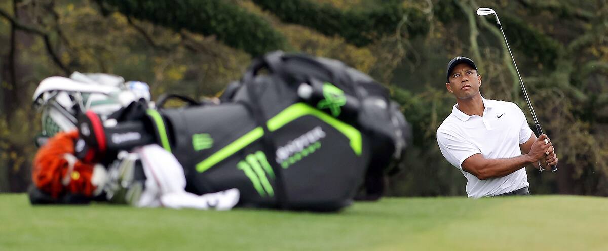 Tournoi des Maîtres: Tiger et les autres