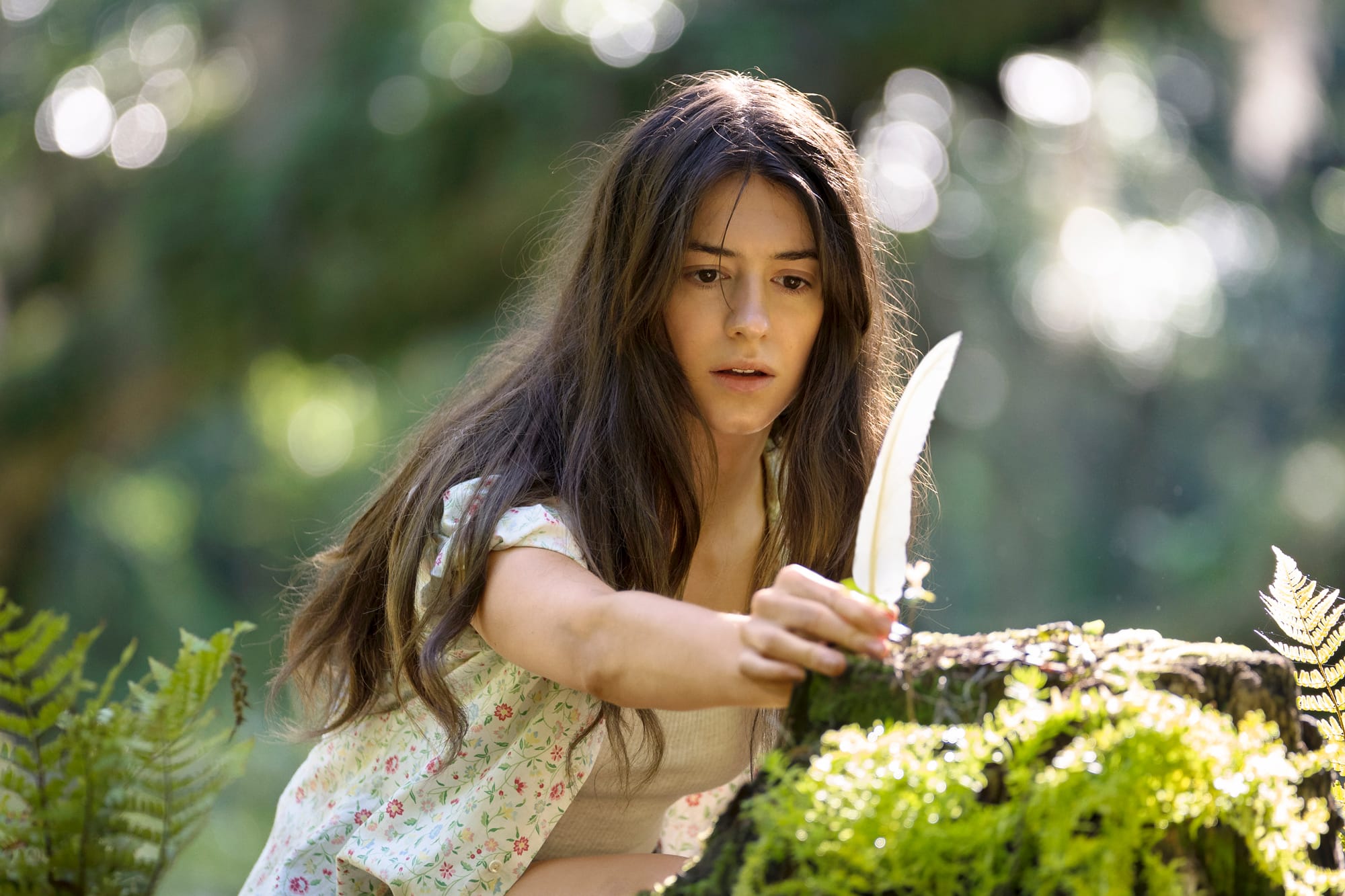 L&agrave; o&ugrave; chantent les &eacute;crevisses: une adaptation d&eacute;cevante | JDM