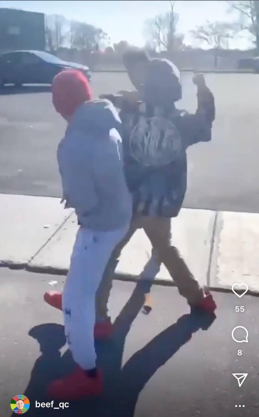 De violentes bagarres sur internet pour devenir virale