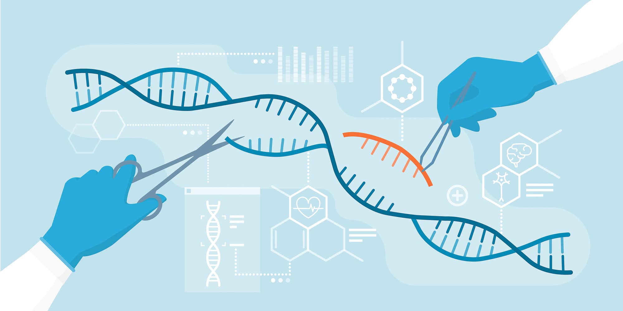 治療革命: 分子ハサミを使用して遺伝的エラーを修正する