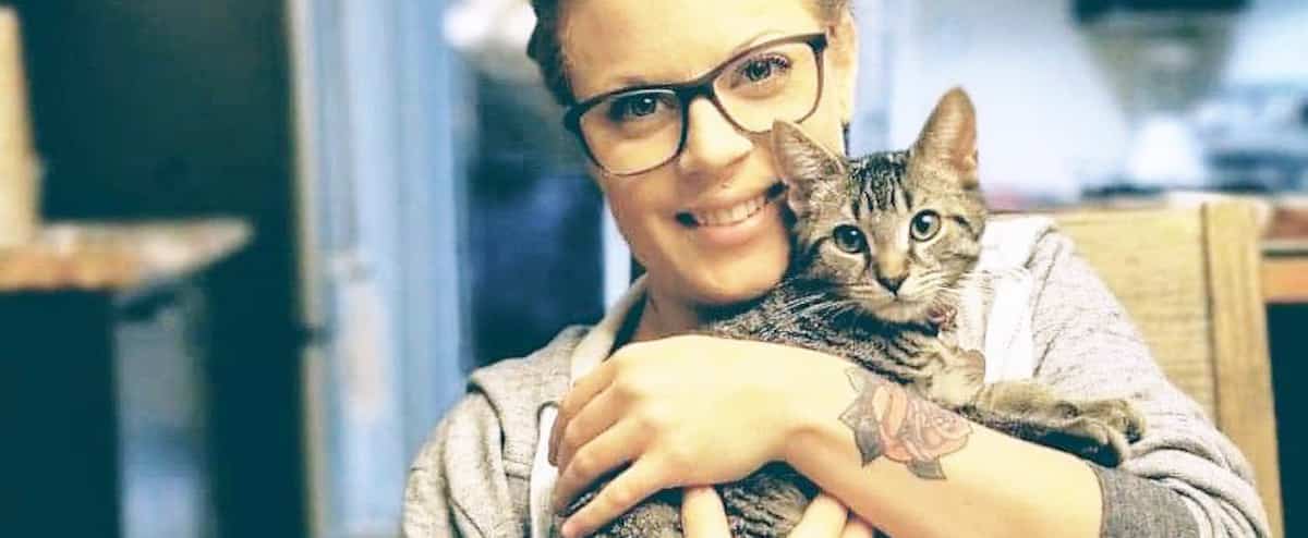 Émilie Daraîche's three cats 1