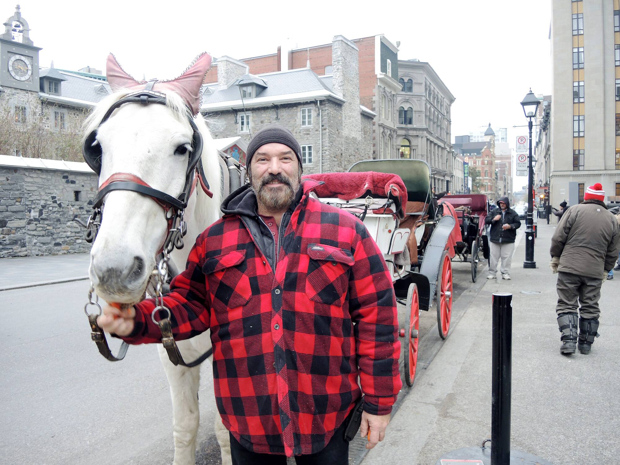 Le roi des cal&egrave;ches poursuit Montr&eacute;al