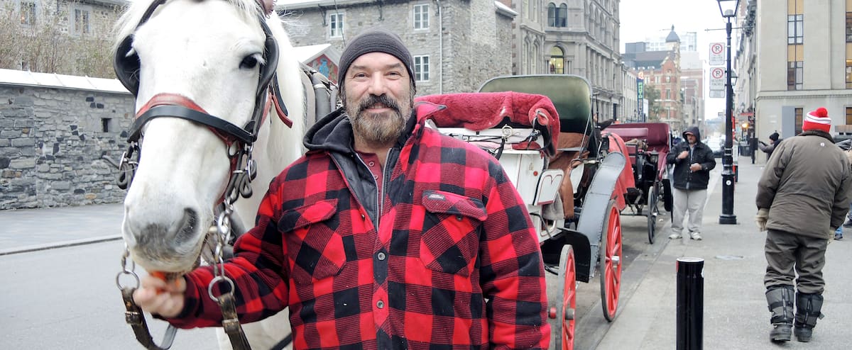 Le roi des calèches poursuit Montréal