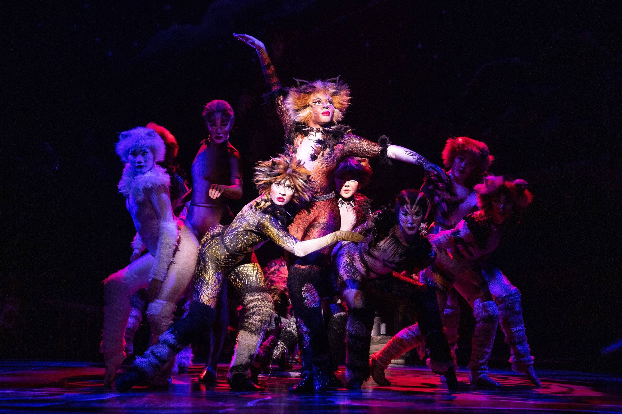 Cats Une Comedie Musicale Magistrale Jdm