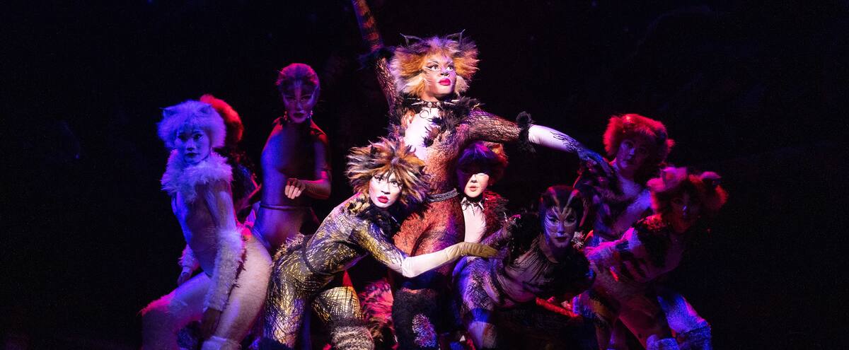 Cats Une Comedie Musicale Magistrale Jdm Cats Une Comedie Musicale Magistrale Jdm
