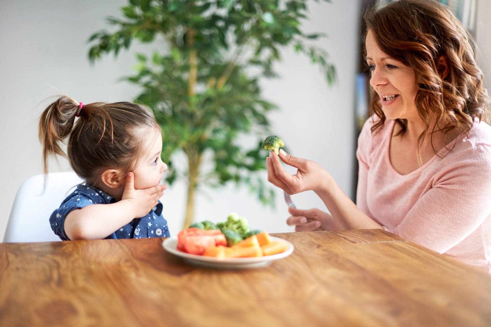 Neophobie Alimentaire Demystifiee Le Journal De Montreal