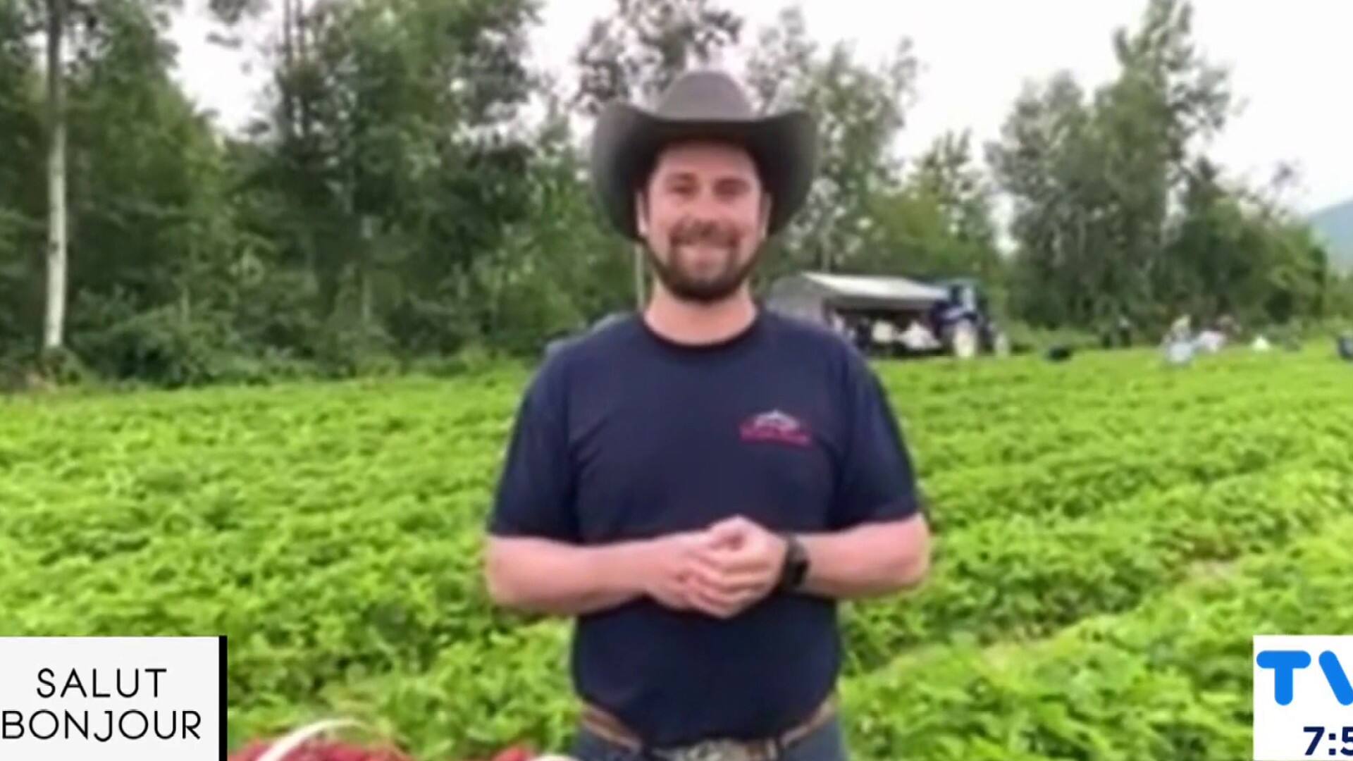 Qui dit début de l’été, dit cueillette de fraises!