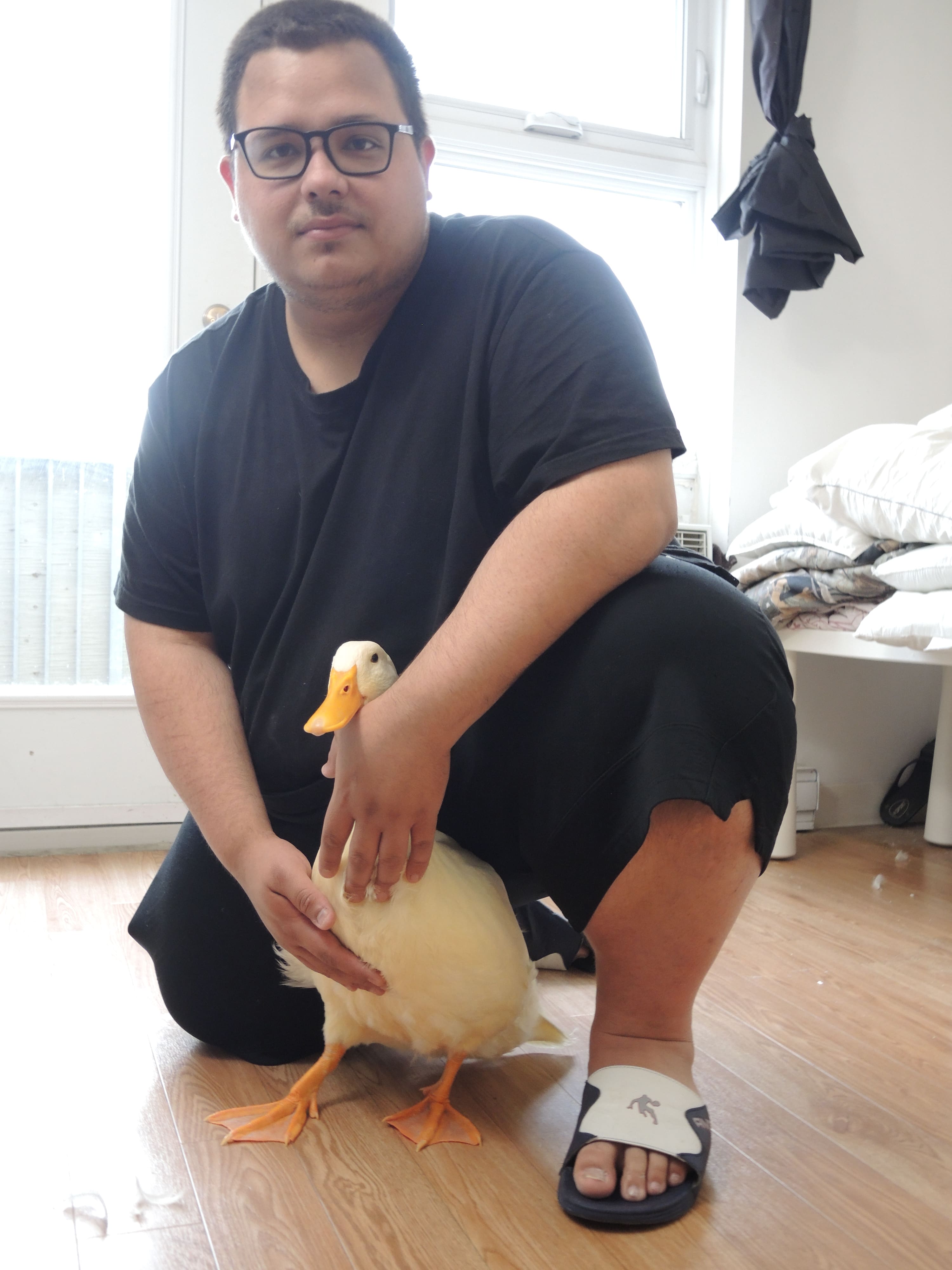 Il Tue Un Canard Sur Tiktok