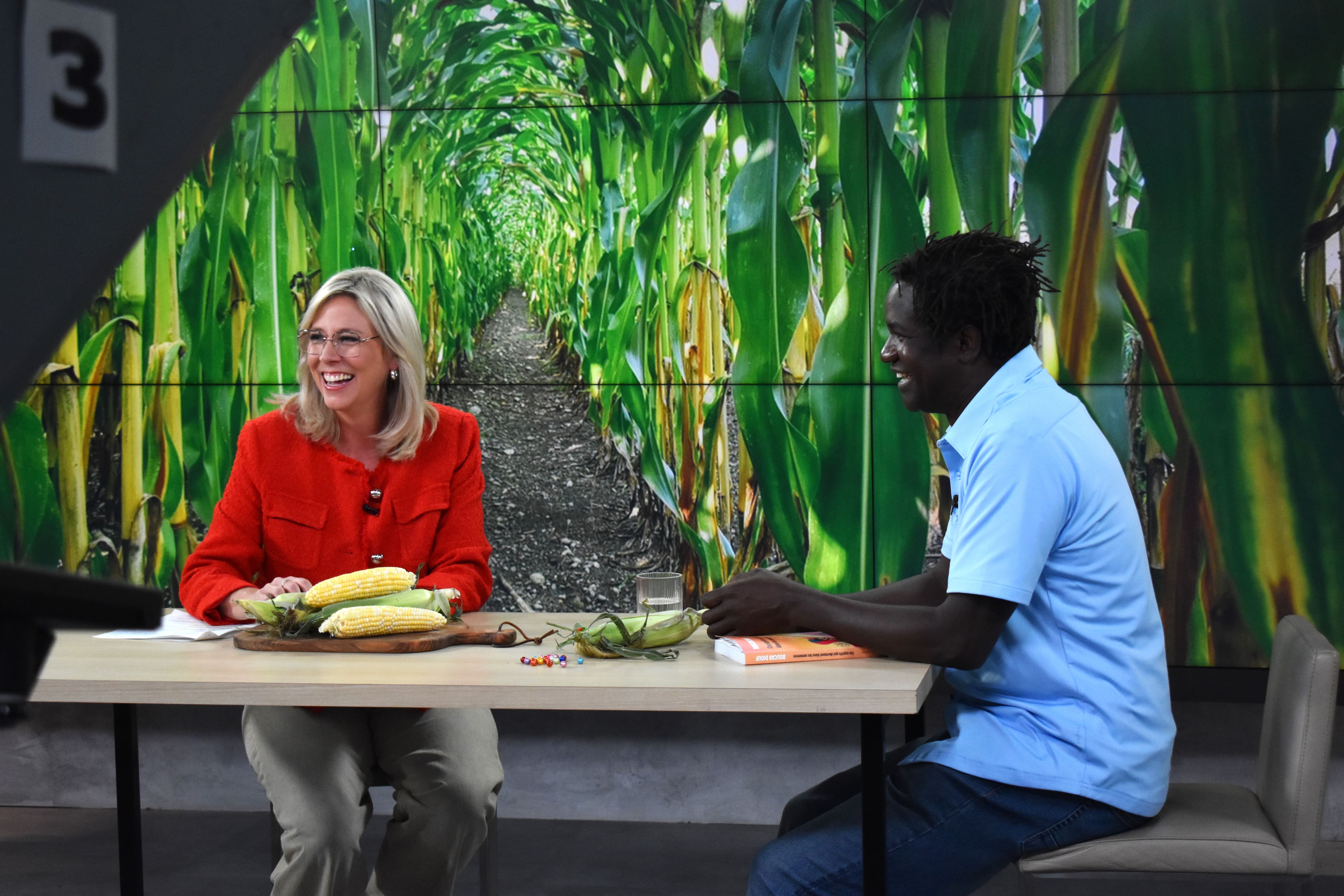  Pourquoi certains maïs sont plus sucrés?