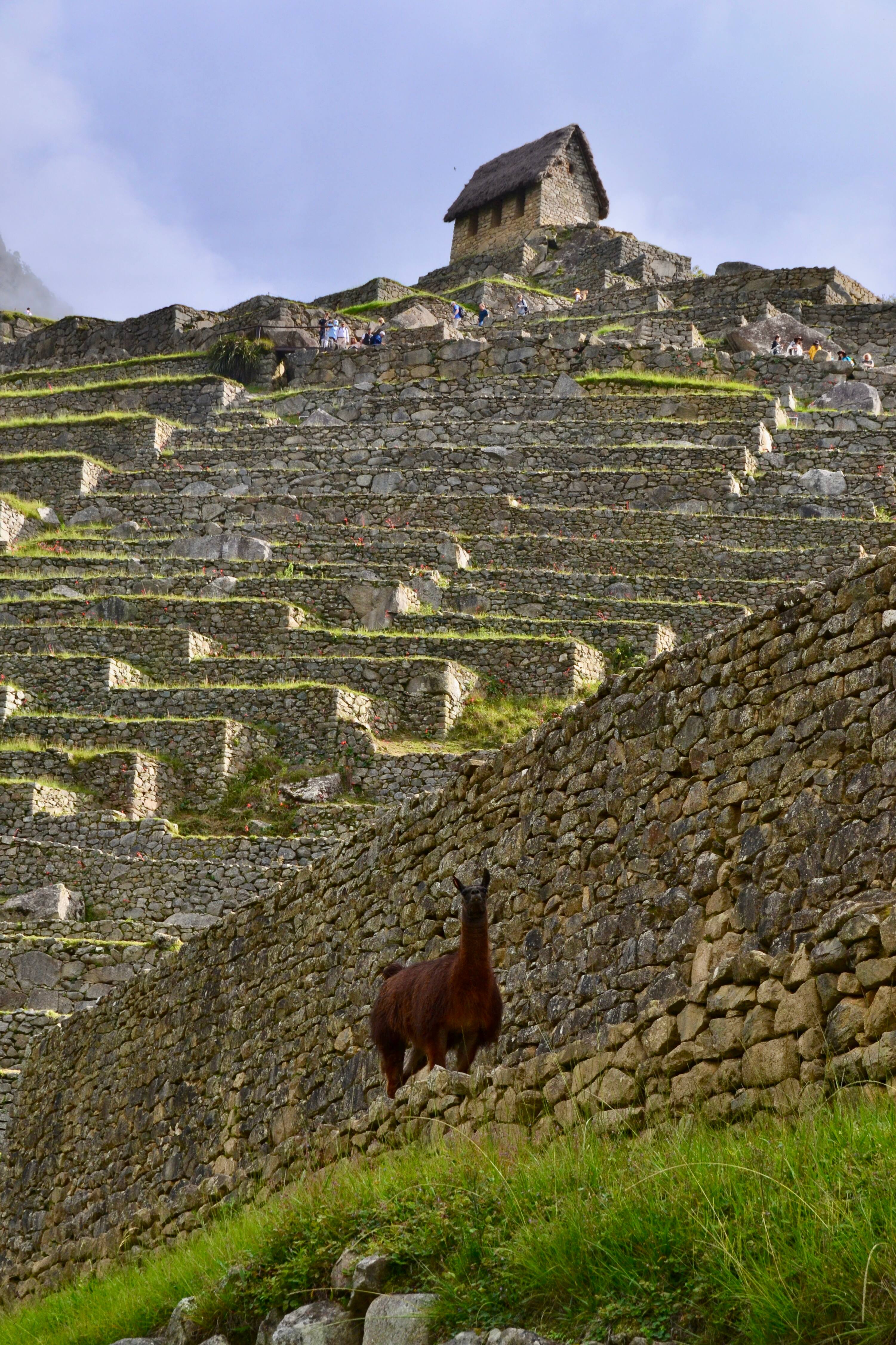 19 choses &agrave; faire pour visiter le P&eacute;rou autrement